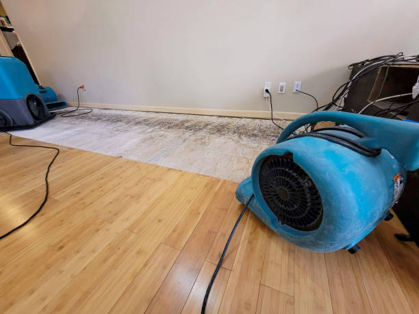 Professional Structural Drying technician working in Laguna Beach, FL